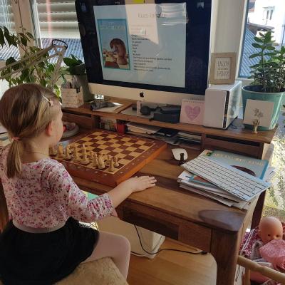 Online-Schachkurs 