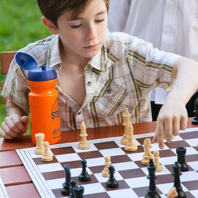 Schach beim Sommerfest